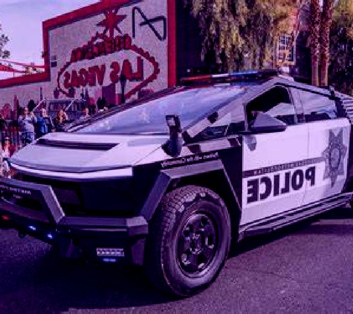 Vega 3 Almudaina escort