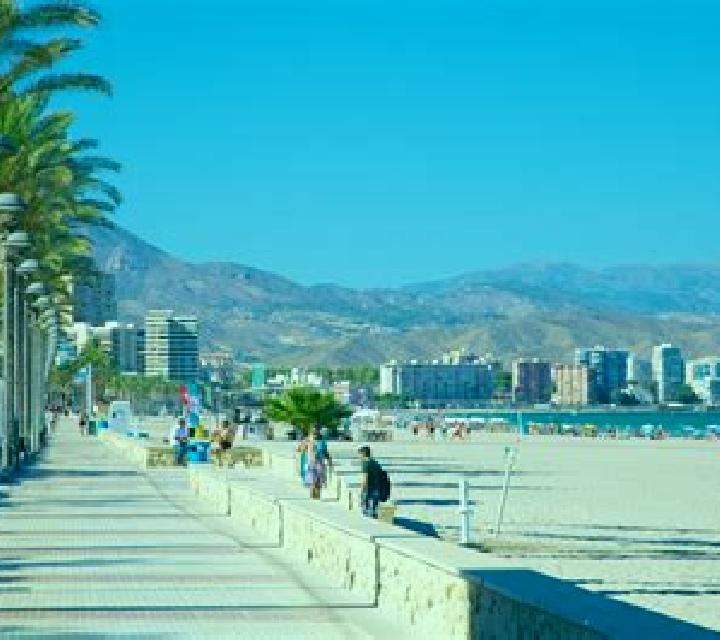 Vega 3 Chequilla escort