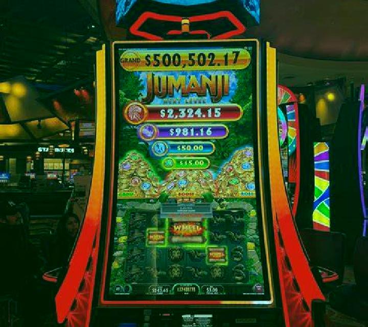 Vega 3 Monleras escort