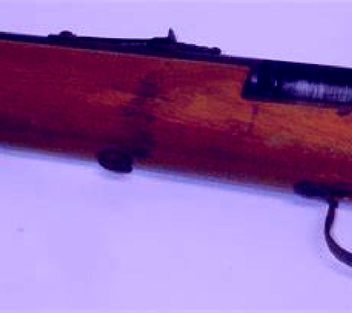Vega Botorrita escort