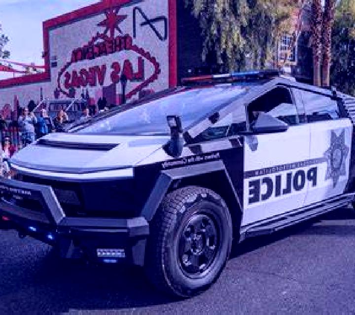 Vega Elche escort