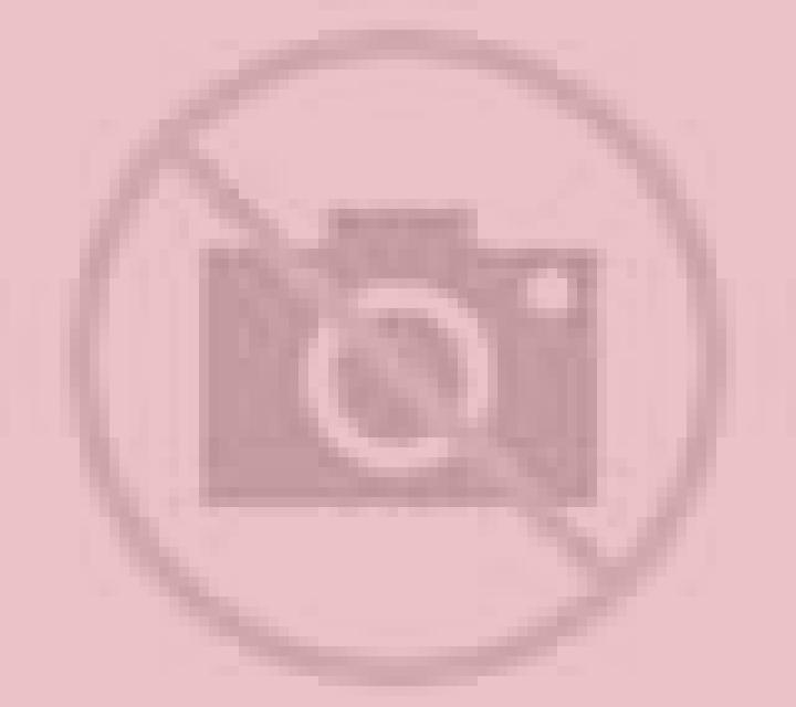 Vega Figueruelas escort