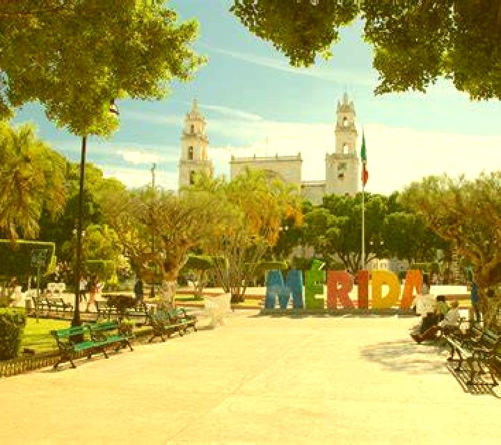 Vega Villaverde de Montejo escort
