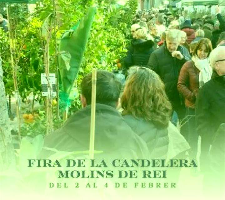 Verónica 3 Ribes de Freser escort
