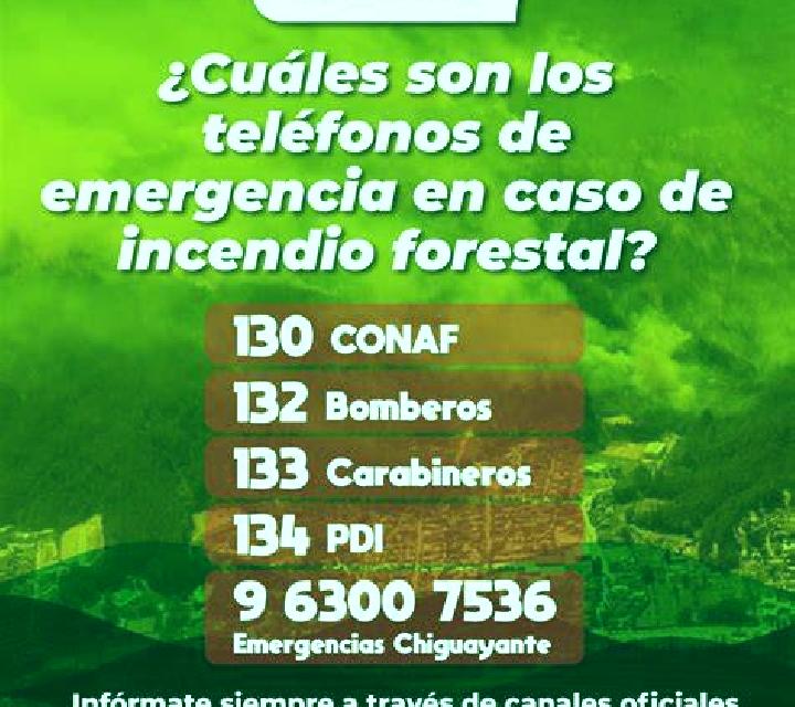 Verónica 3 Yecla de Yeltes escort