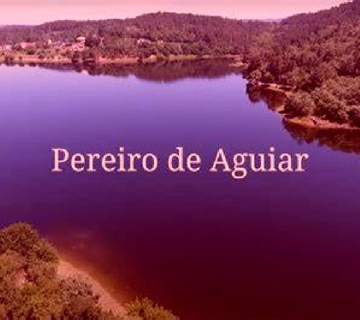 Verónica Parada de Rubiales escort