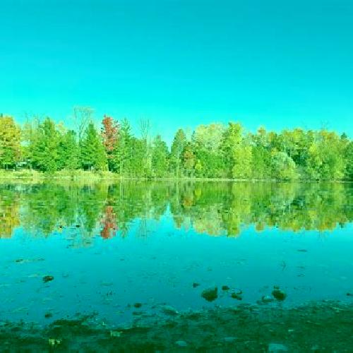 Ximena 3 Almendrales escort