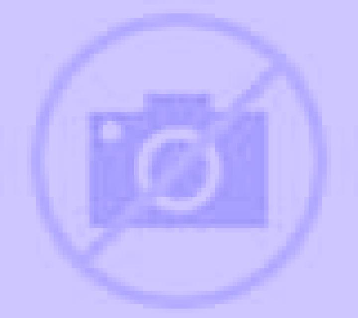 Ximena 3 Camporrells escort