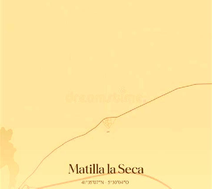 Zara 2 Llambilles escort