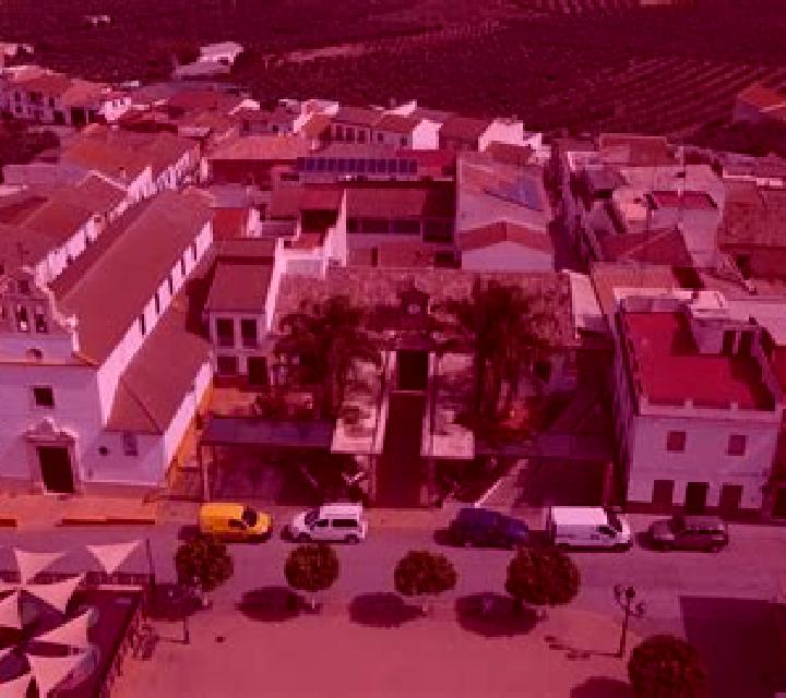 Zara Juia escort